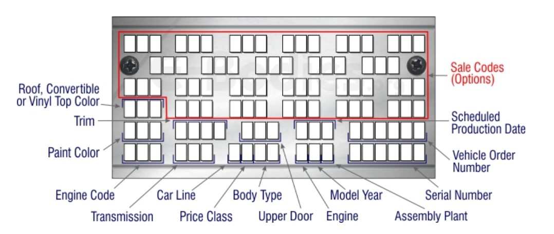 1 Fender Tag Guide.jpg