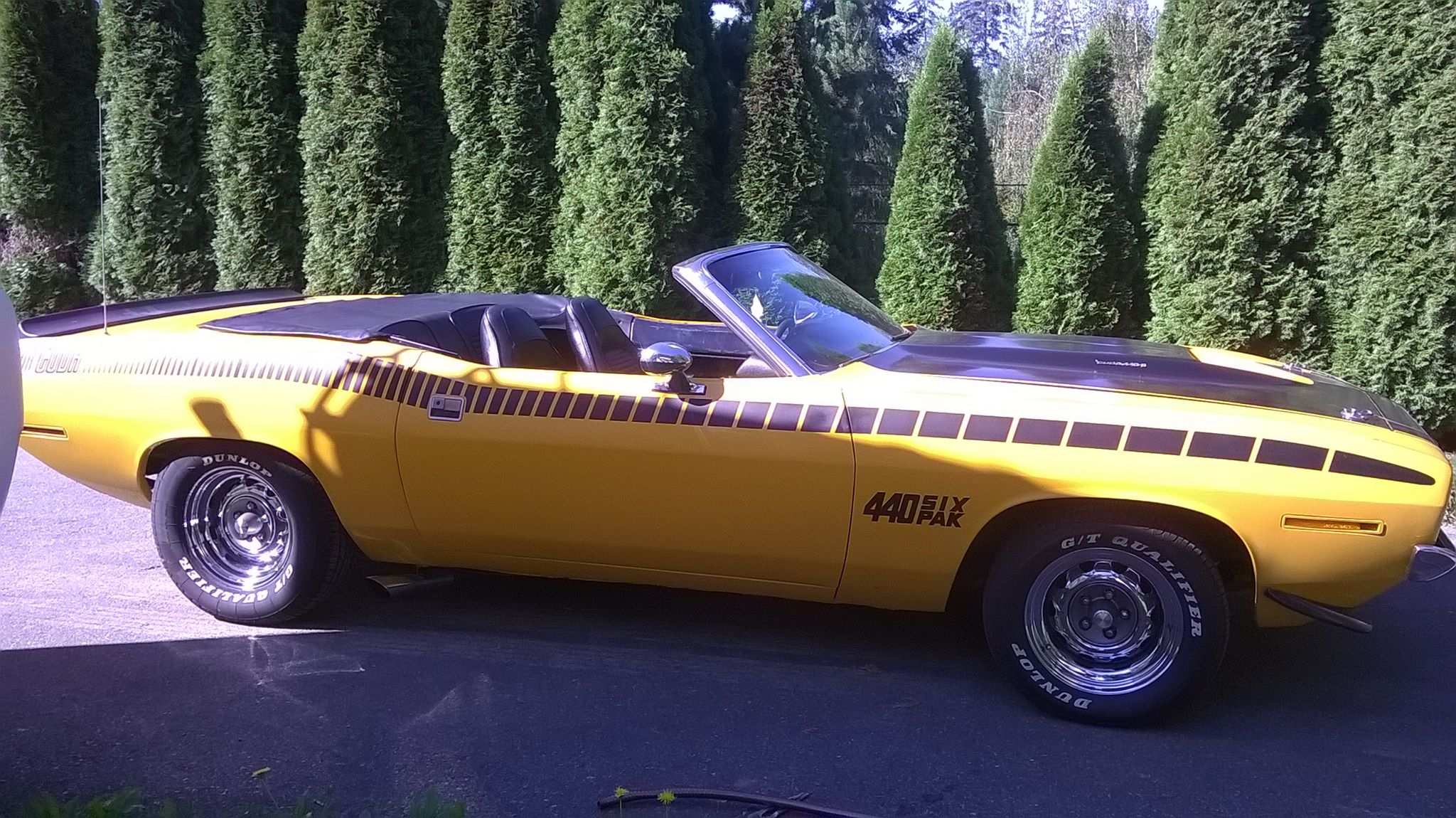 70 CUDA CONVERT.jpg