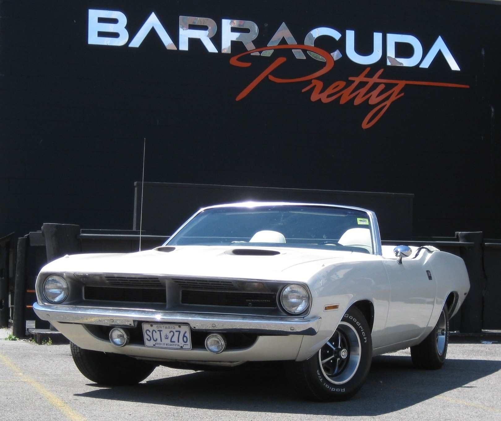 Barracuda Pretty.jpg