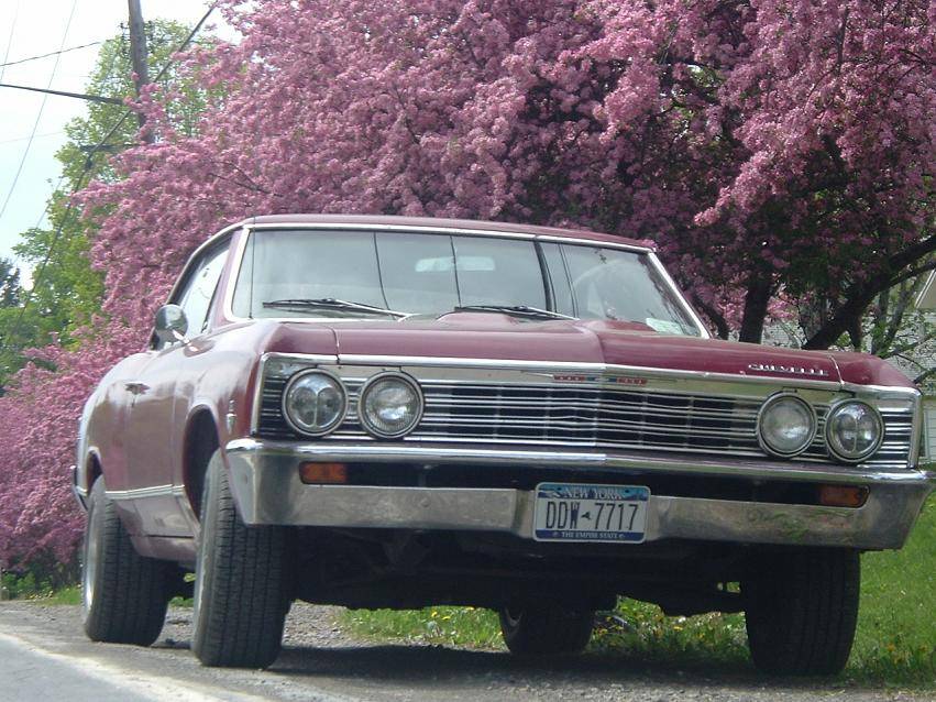 challenger and chevelle 012.jpg