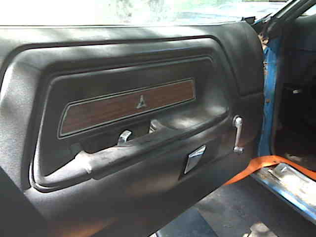 Challenger door panel (640x480).jpg