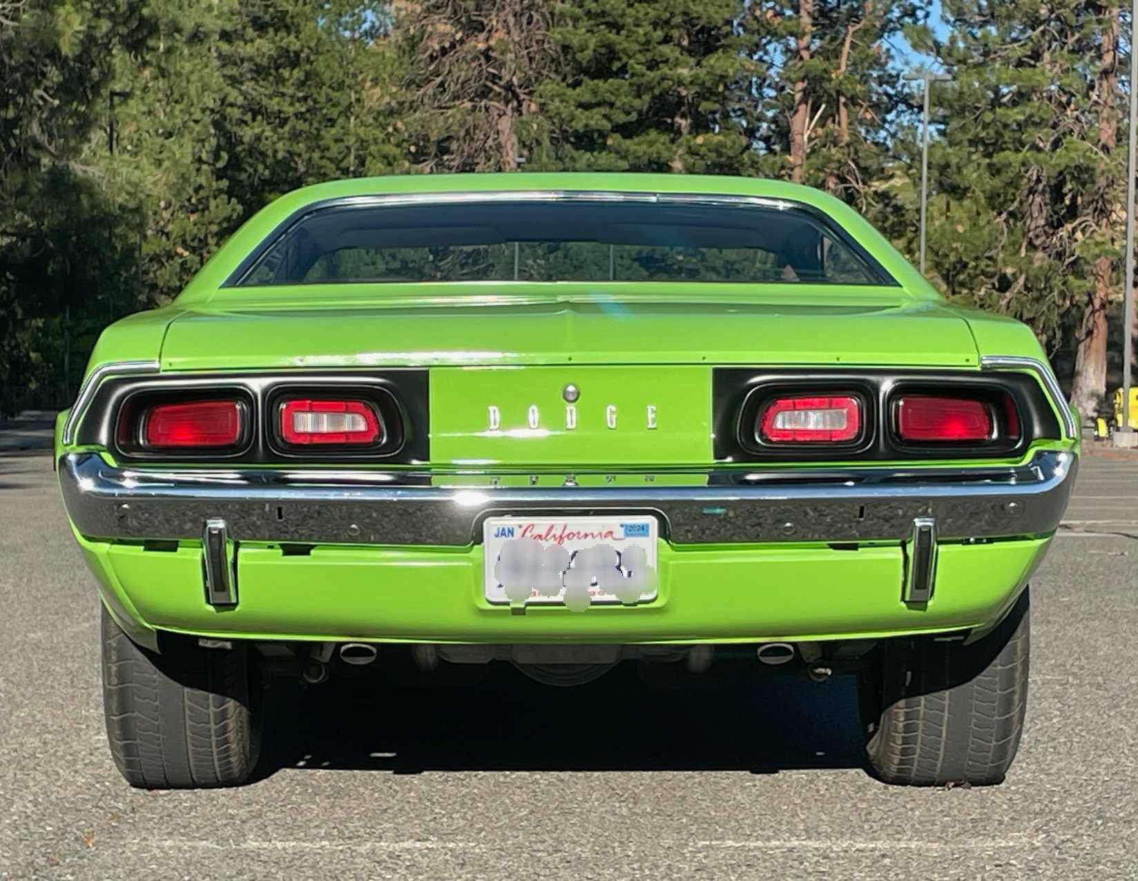 Challenger rear.jpg