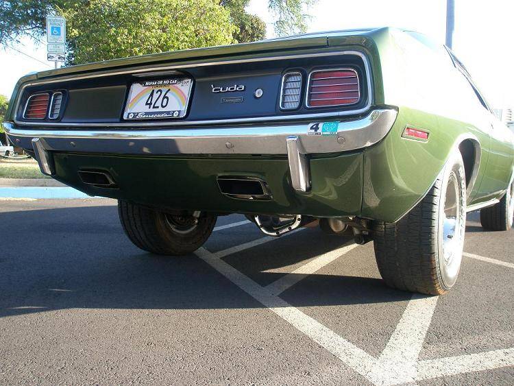 cuda 2.JPG