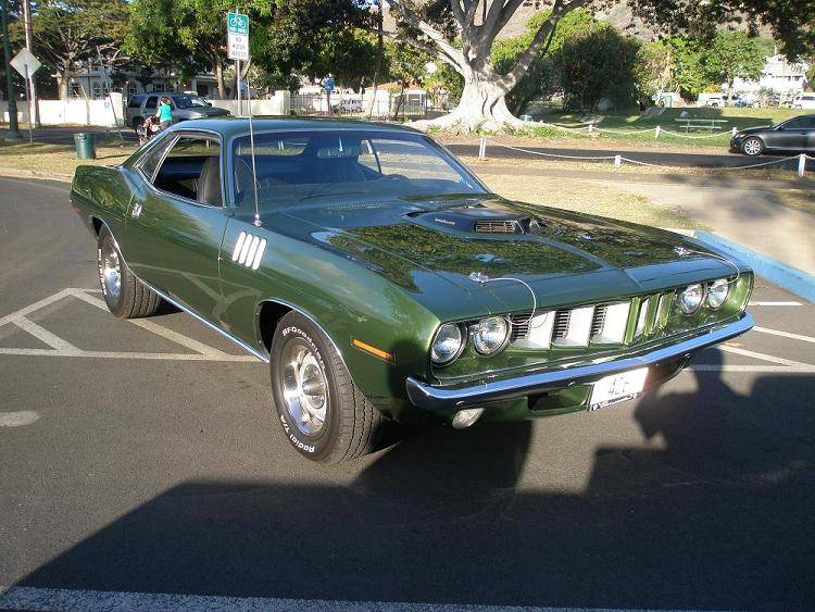 cuda 3.JPG