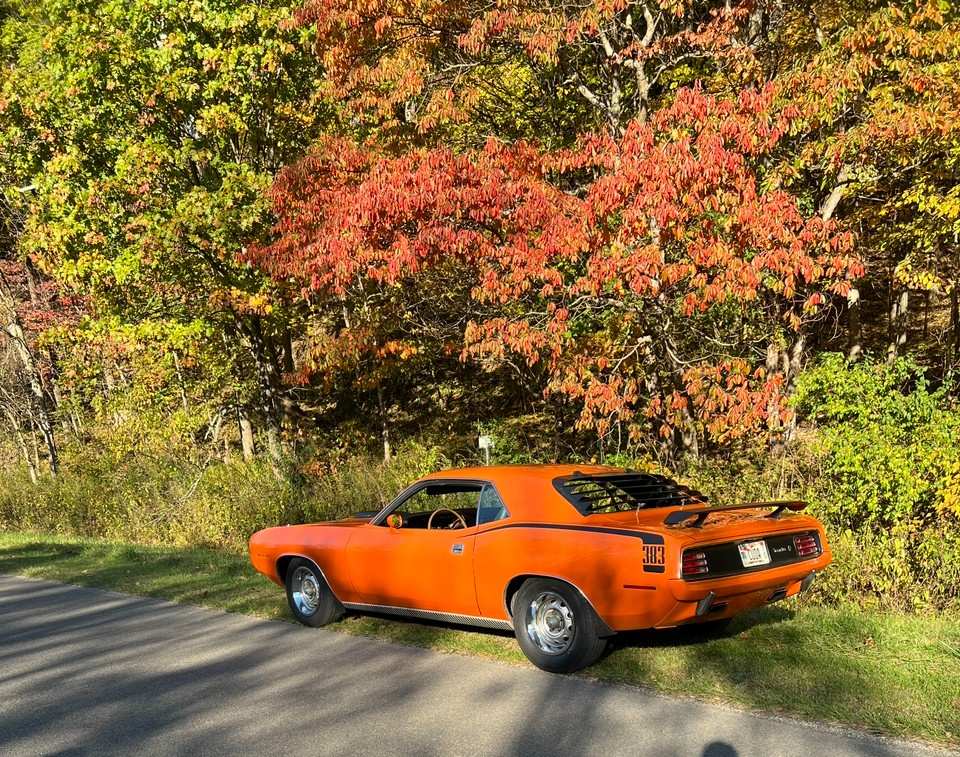 Cuda Fox Ridge 1.jpg