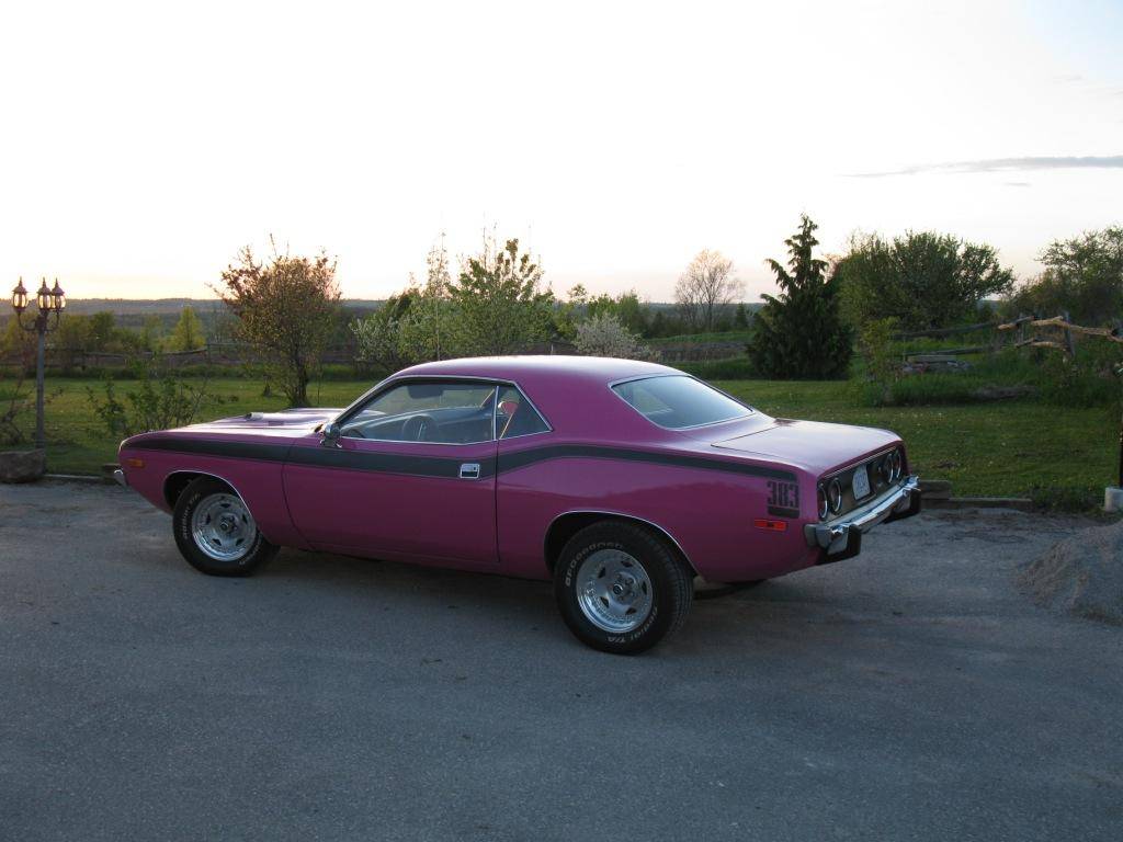 newcuda 003.JPG